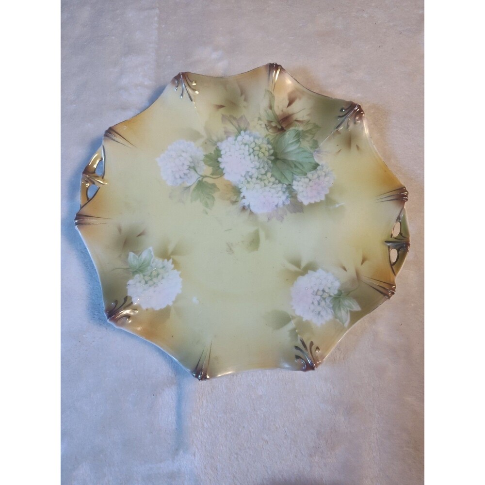 GORGEOUS RS Prussia  Porcelain Plate Hand Painted carnations